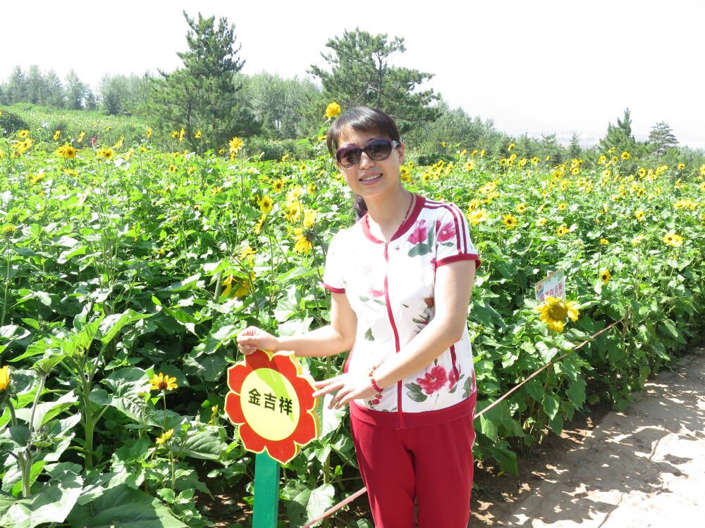 15C37E535DAE58813D80F05337B40ECC_750_750.jpg